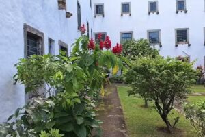 Hotel Fasc&iacute;nio