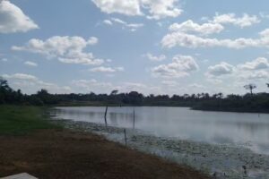 Hotel Fazenda Agrotur