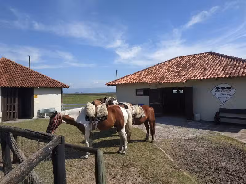 Hotel Fazenda Figueiras