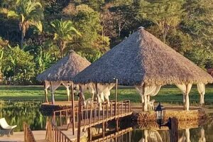 Hotel Fazenda Portal da Amazônia