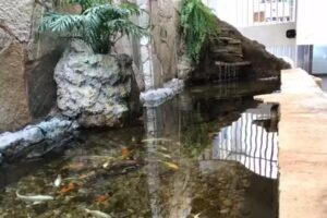 Hotel Luz &ndash; Fronteira MG