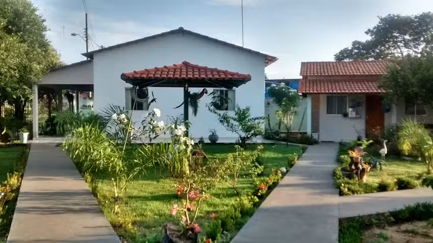 Hotel oasis