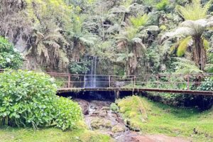 HOTEL PERDIZES &ndash; Flat Executivo &ndash; 404