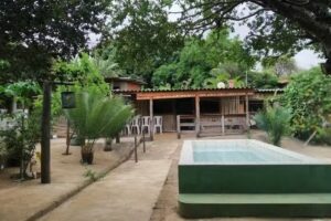 Hotel, Pousada Palmeira Imperial