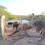 Hotel Recanto das Pedras