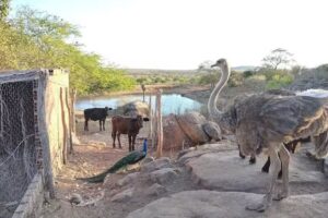 Hotel Recanto das Pedras