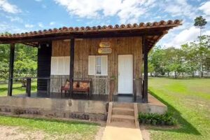 Hotel Salsalito Jungle Park