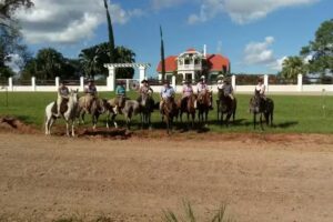 Hotelaria de cavalos Recanto do Pai Koch