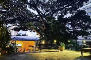 Icara&iacute; Su&iacute;tes