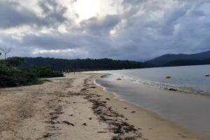Integra&ccedil;&atilde;o com a Natureza &ndash; Paraty Mirim