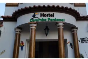 Jaguar Pantanal tours corumbá