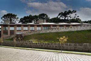 Jangal das Arauc&aacute;rias