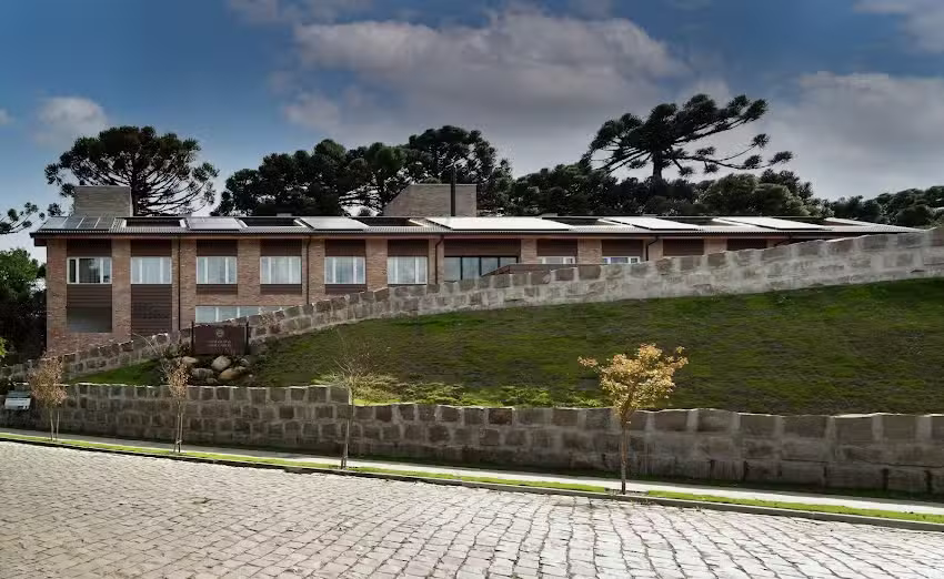 Jangal das Arauc&aacute;rias