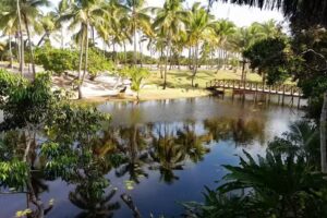 Jardim das Brom&eacute;lias Vilas e Reserva &ndash; Praia de Algod&otilde;es &ndash; Mara&uacute;