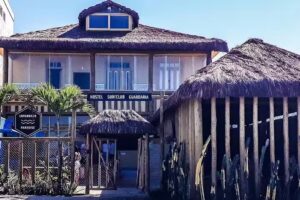 Longboard Paradise Surf Club