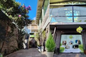 LSViver Espaço Holístico