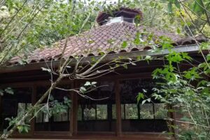 Mãe D’água – Espaço Holístico