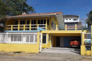 Mans&atilde;o ouro verde