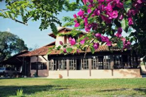 Maria Do Carmo — Cama e Café