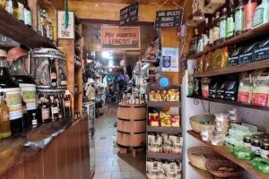 Meu Nordeste Len&ccedil;&oacute;is