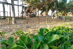 Morada da Lua Hospedaria Ecol&oacute;gica