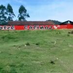 Motel Colinas