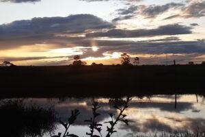 Motel Mirand&oacute;polis