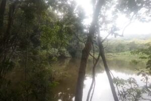 Motel Tur&iacute;stico Jaragua