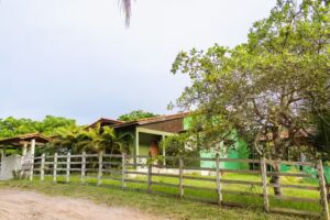 N&oacute;s da Praia Algod&otilde;es