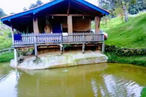 O cantinho da paz , sitio