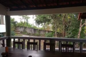 O&aacute;sis Mar e Flores