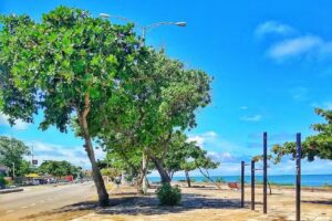 Olinda Pousada Bairro Novo