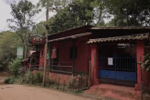 Orangotango&rsquo;s / Chal&eacute;-Su&iacute;&ccedil;a