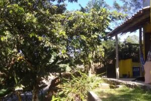 Pandora Eco Hostel e Camping