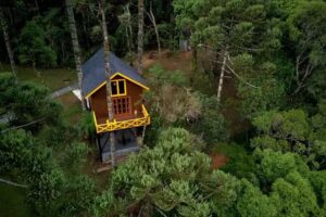 Para&iacute;so das Arauc&aacute;rias &ndash; Monte Verde