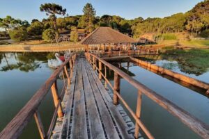 Parque das Arauc&aacute;rias