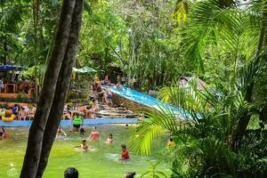 Parque dos Igarap&eacute;s