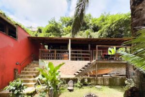 P&eacute; de Caf&eacute;