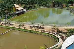 Pesque Pague Assombra&ccedil;&atilde;o