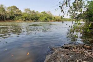 Pesqueiro Toca do Jacar&eacute;