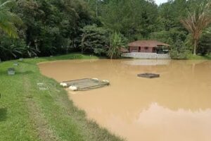 Pesqueiro Vale do Peixe