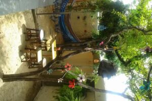 Pitanga Hostel e Pousada