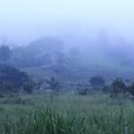 planalto palace hotel