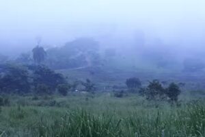 planalto palace hotel