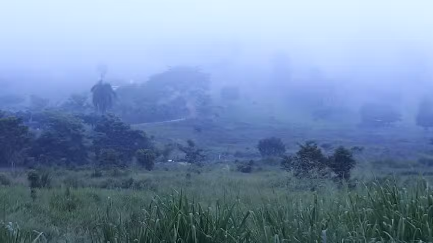 planalto palace hotel