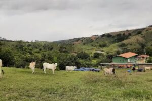 Portal Amor e Consciência – Eventos, Terapia e Hospedagem