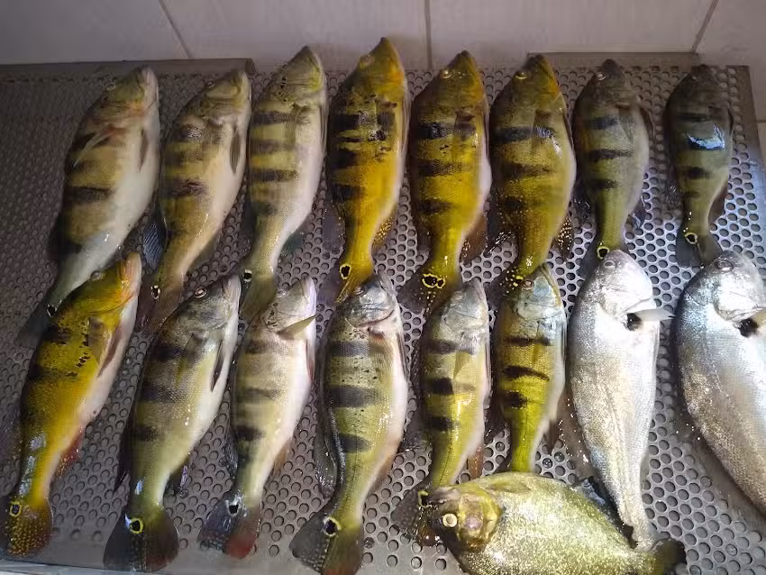 Pousada 6 Cora&ccedil;&otilde;es