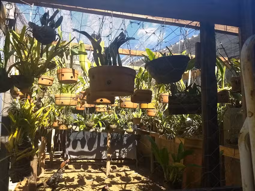 Pousada Almeida Cruz