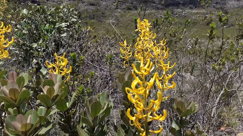 Pousada Alto Da Chapada