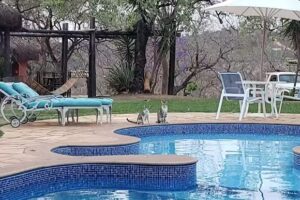 Pousada Alto da Lapa